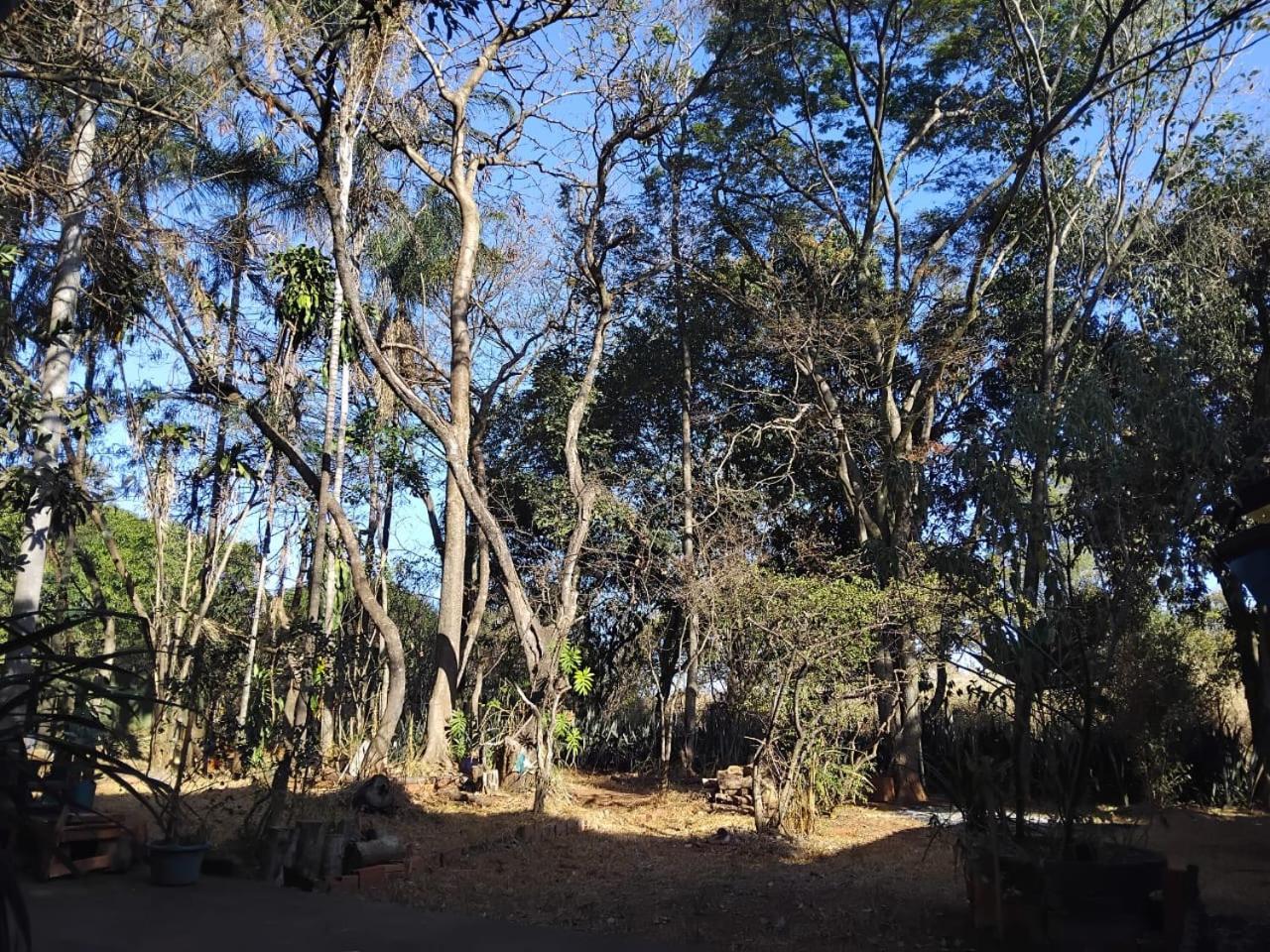Sitio Bemtevi - Jockey Camping - Uberlandia Villa Eksteriør billede