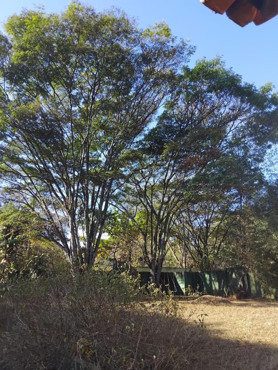 Sitio Bemtevi - Jockey Camping - Uberlandia Villa Eksteriør billede