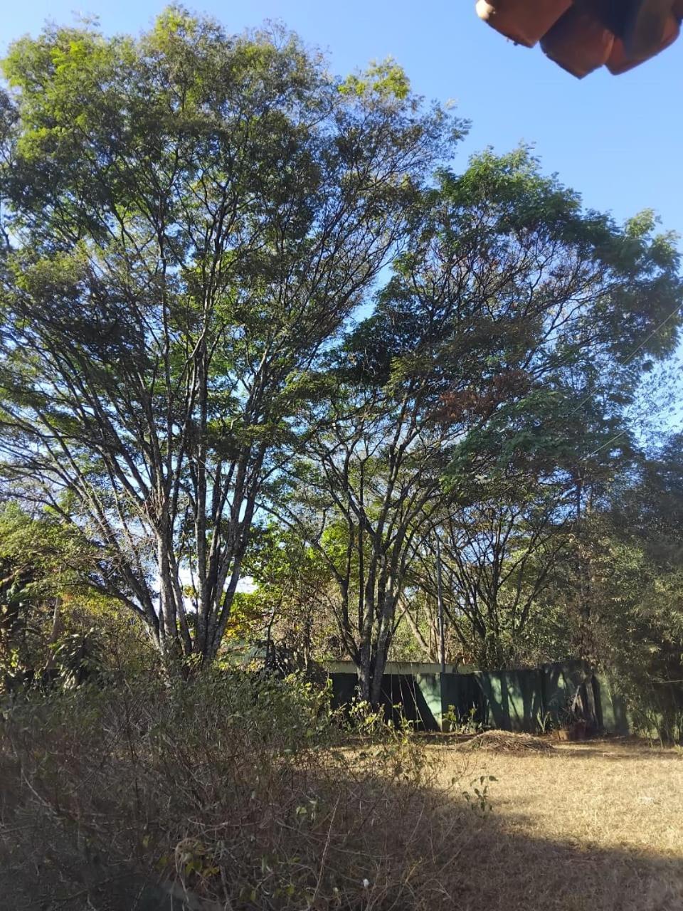 Sitio Bemtevi - Jockey Camping - Uberlandia Villa Eksteriør billede